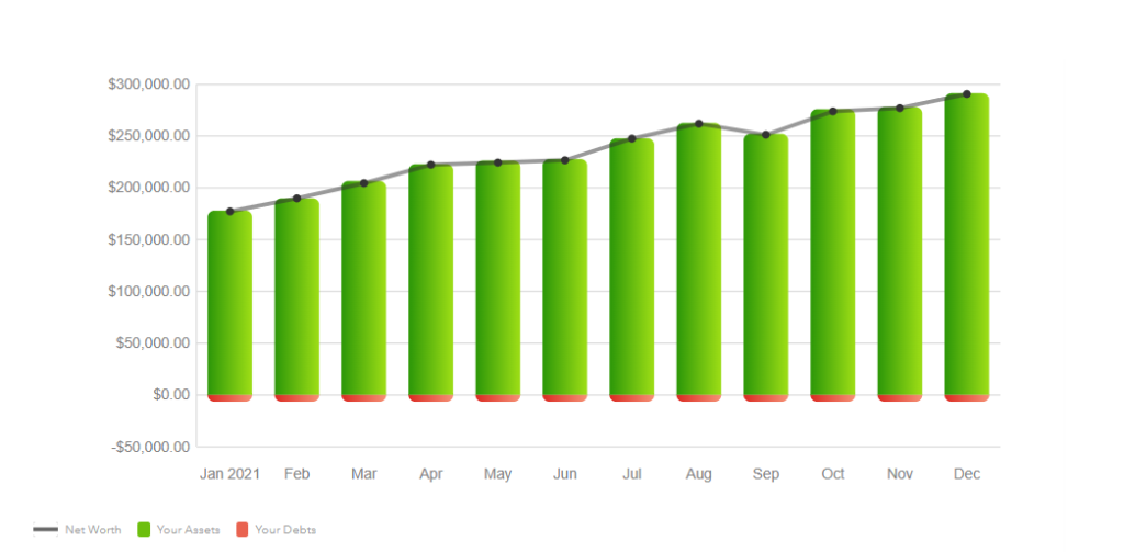 mint 2021 investment growth screenshot